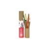 Eco-Friendly Plantable Stationary Gift Set