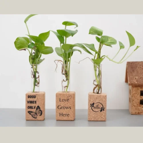 Cork Magnetic Planters, Set of 3